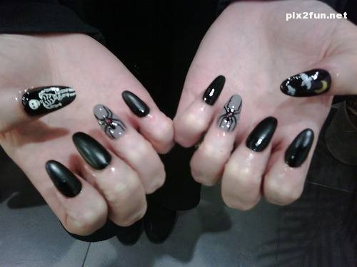 0.114778001314596273_pixnaz_ir