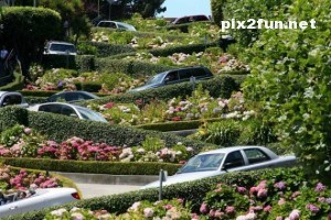 0.172136001324217274_pixnaz_ir