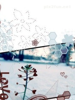 جدیدترین عکس های رمانتیک