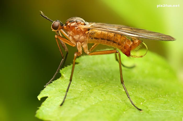 0.269604001368095395_pixnaz_ir