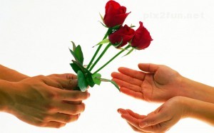 0.362142001368710508_pixnaz_ir