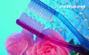 0.382768001368710508_pixnaz_ir