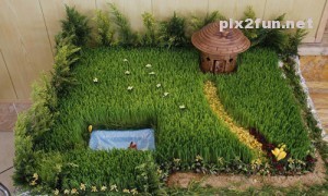 0.424540001332143804_jazzaab_ir