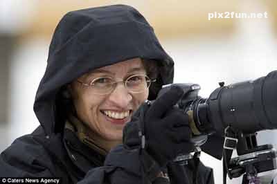 عکس های بسیار جالب از روباه عکاس