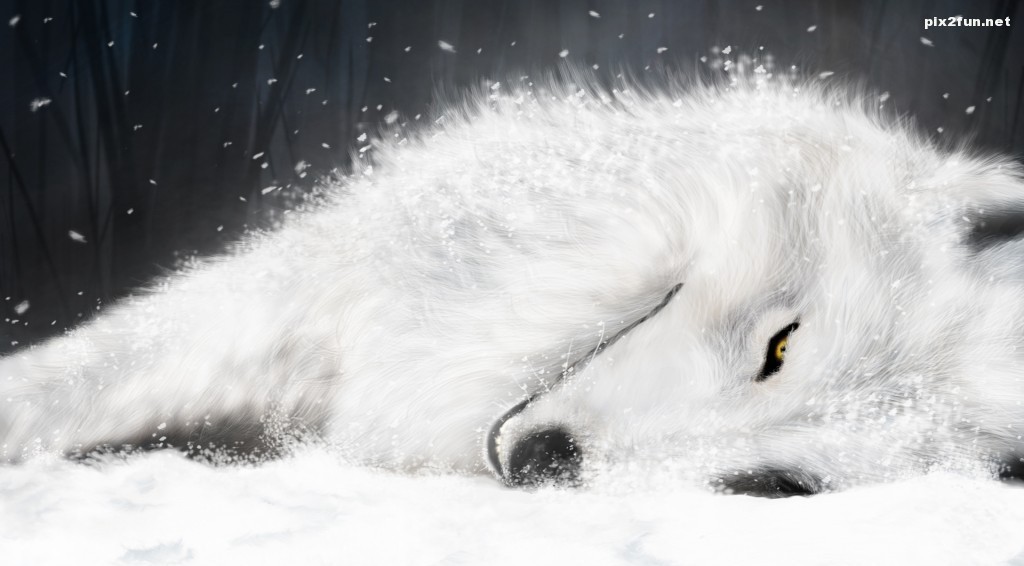 1024600882aa87c505f48f60ec53e1479d2ed17