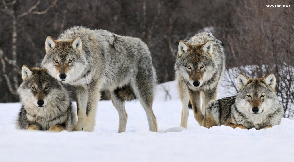 1024600fb84a0d576f9131d42ad025384988679