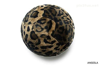 عکس های جالب از توپ - سری دوم