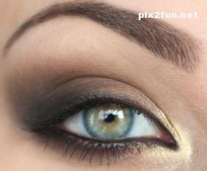 11a62b44f9da17f8c4b232d022351ce7