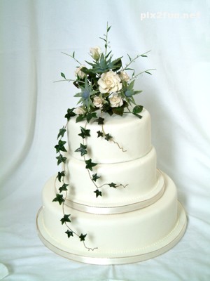 جدیدترین عکس ها از کیک عروسی