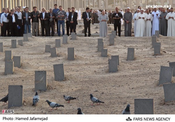 13920124122716450_PhotoL