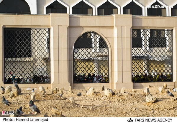 13920124122719903_PhotoL