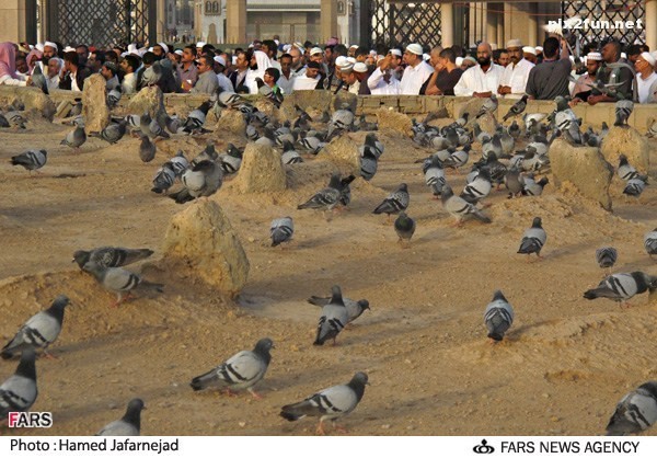 1392012412272528_PhotoL