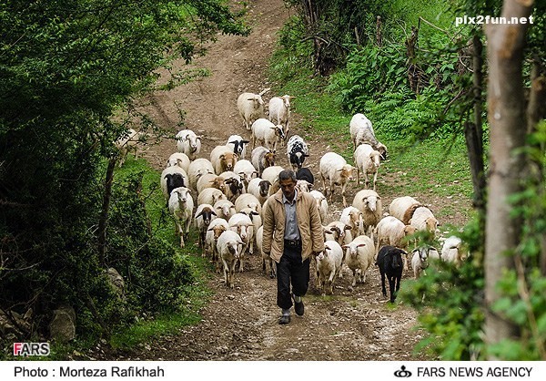 عکس از منازل روستای ارده