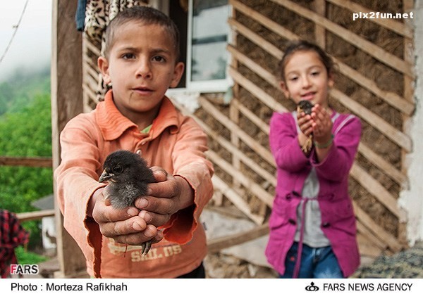 عکس از مردم روستای ارده در گیلان