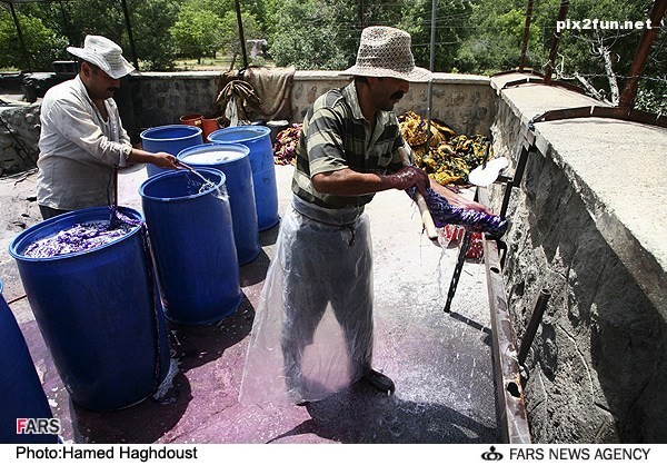 تصاویری از کارگاه تولید روسری