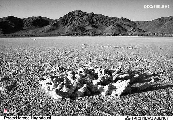 عکس های ناراحت کننده از دریاچه ی ارومیه