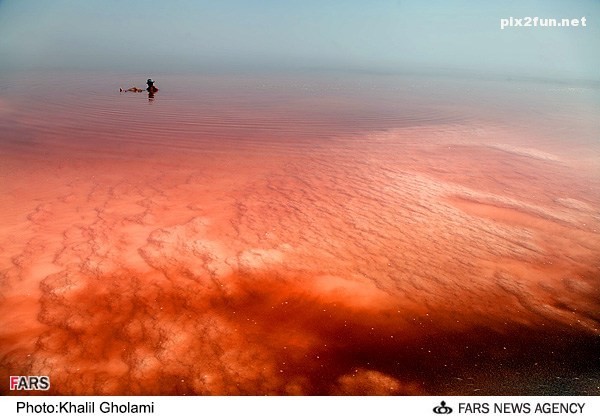 تصاویر زیبا از دریاچه ی ارومیه