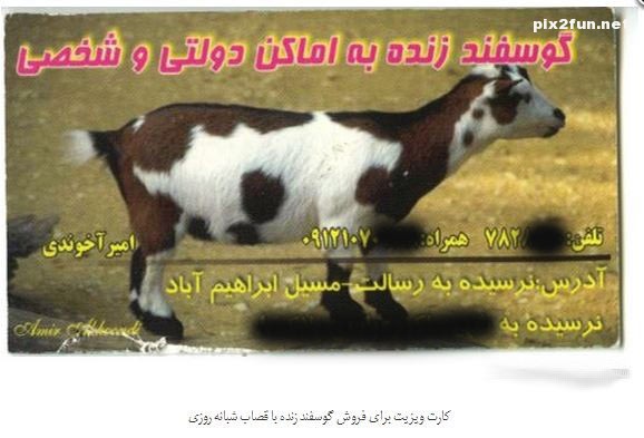 کارت ویزیت های شغل های ایرانی