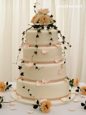 جدیدترین عکس ها از کیک عروسی
