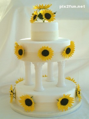 جدیدترین عکس ها از کیک عروسی