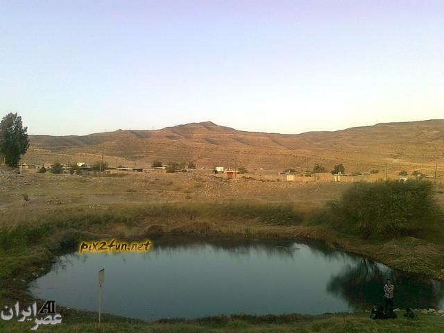 عکس کاربران