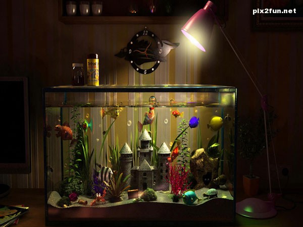 3d_new_wallpapers_005