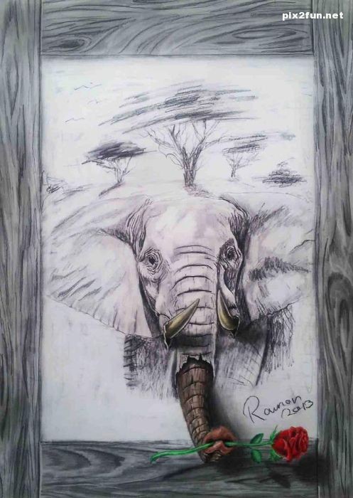 عکس از نقاشی های زیبای سه بعدی بر روی کاغذ