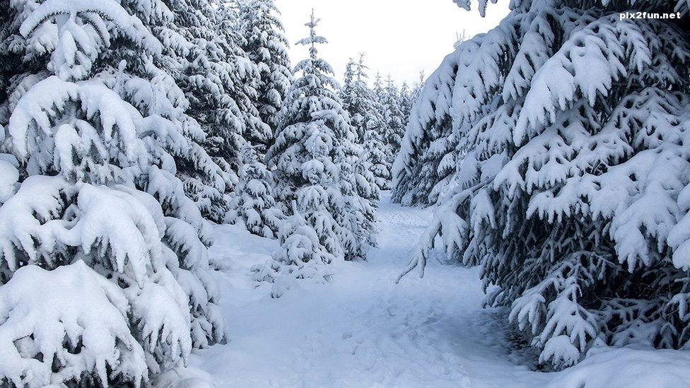 عکس های بسیار زیبا از برف