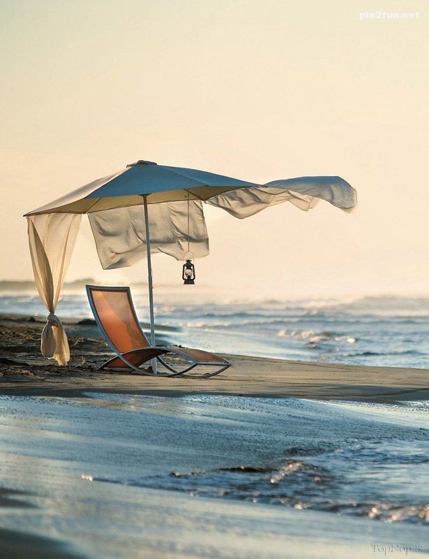 عکس های واقعی از طبیعت