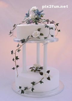 جدیدترین عکس ها از کیک عروسی