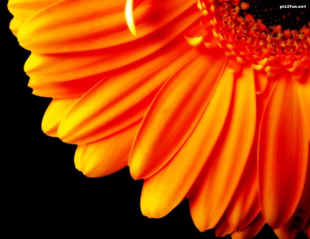 6f8a8040200d497f63c7915f6dd16f2a