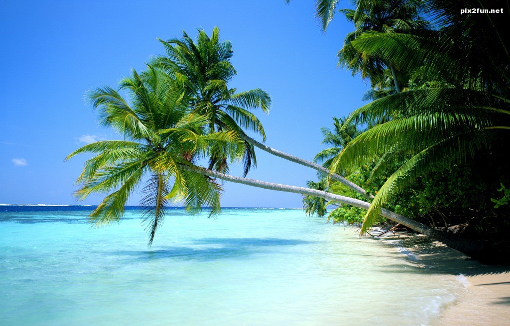 7dcb7679ac1f73b268adba5ef07c1ee9