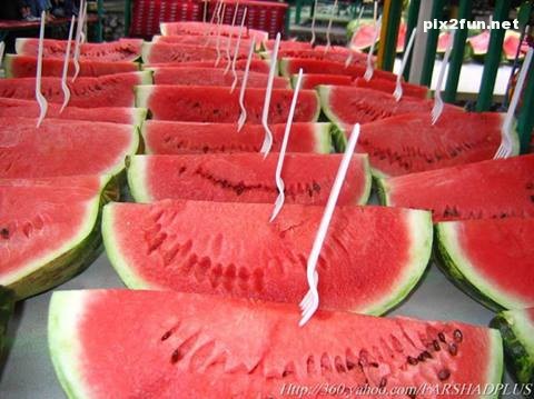 عکس های زیبا از غذا های ایرانی