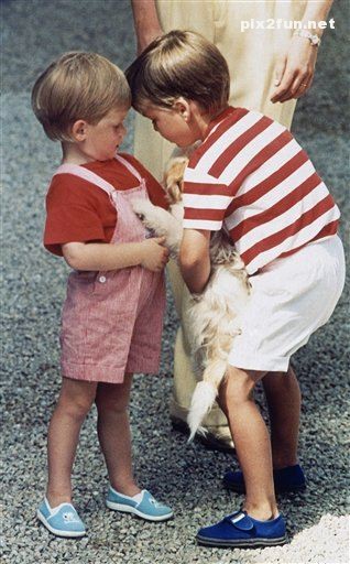 عکس از William پرنس بریتانیا