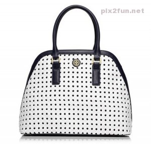 Bag (Pix2Fun.Net)  (10)