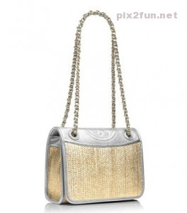 Bag (Pix2Fun.Net)  (3)