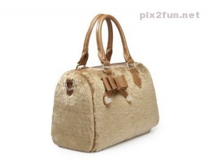 Bag (Pix2Fun.Net)  (9)