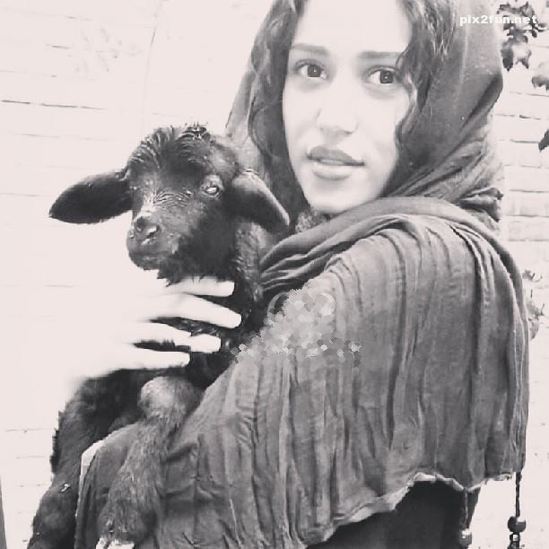 عکس های جدید و دیدنی از بازیگران ایرانی