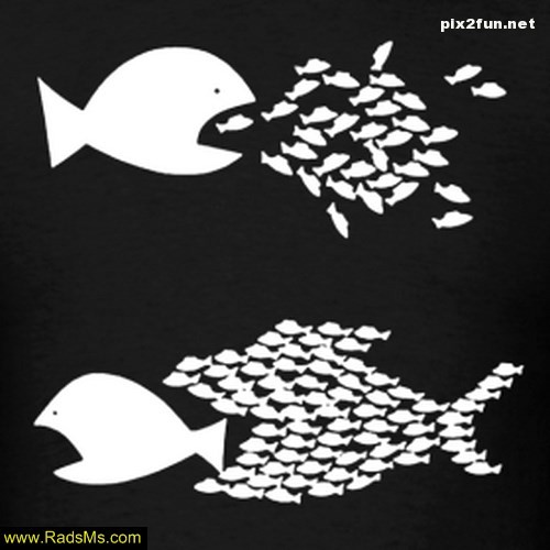 کاریکاتور های جدید مفهومی