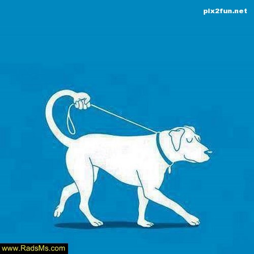 کاریکاتور های جدید مفهومی