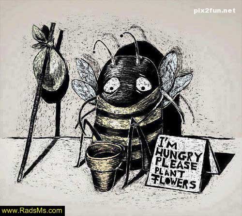 جدیدترین کاریکاتور های مفهومی 