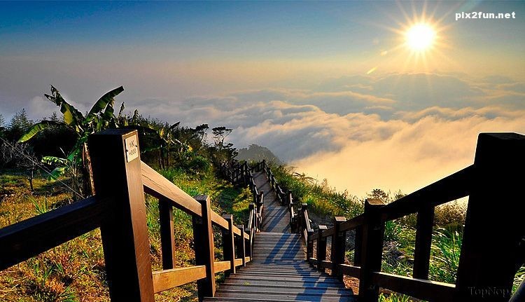 عکس های واقعی از طبیعت