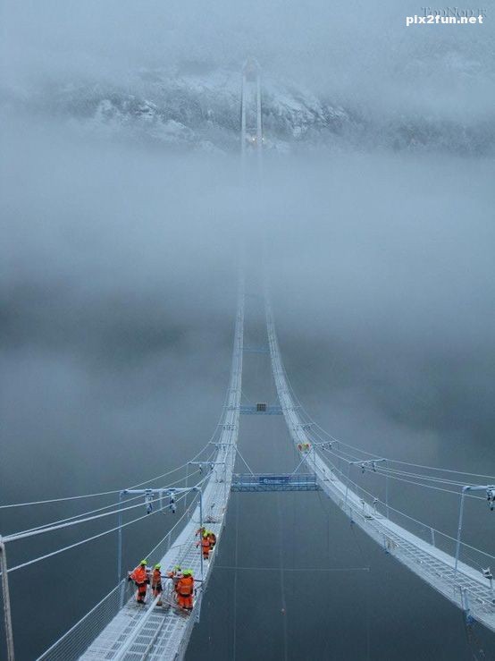 تصاویری از طبیعت واقعی