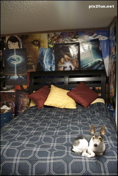 تصاویری از اتاق خواب های دیدنی