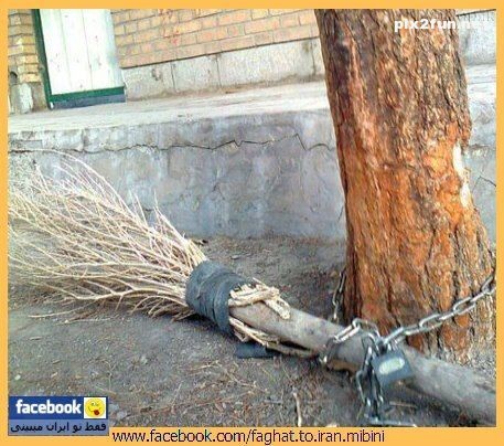 سوژه های وطنی