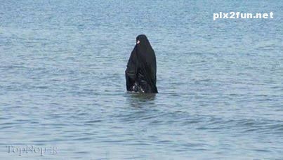 سوژه های وطنی