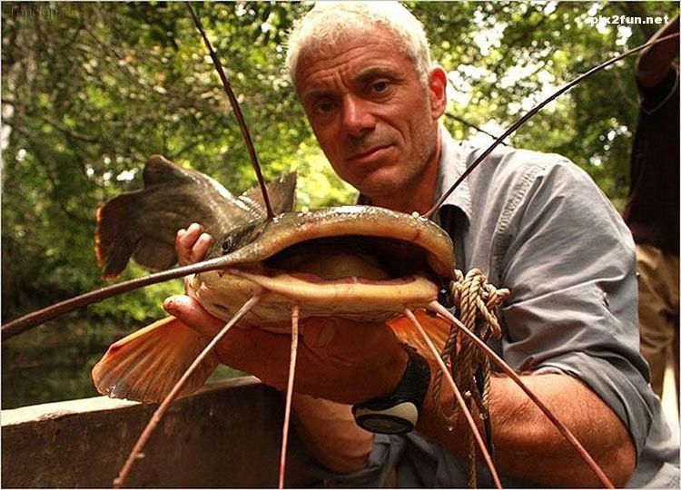 عکس از شکار بزرگترین ماهی ها