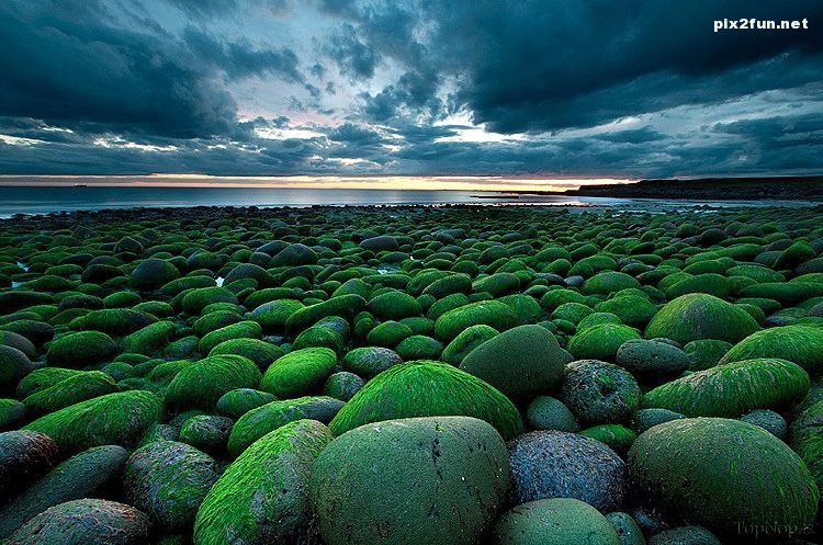 تصاویری از طبیعت واقعی