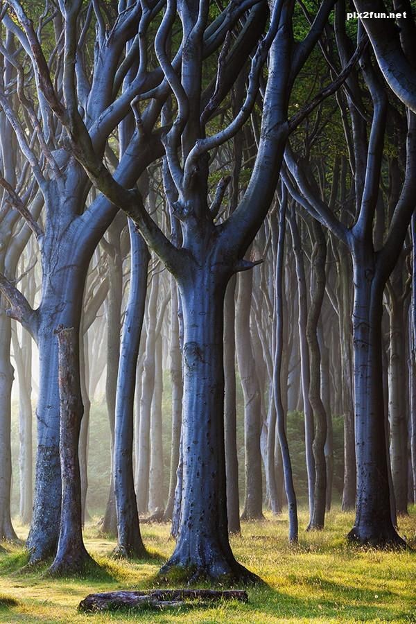 تصاویر واقعی از طبیعت