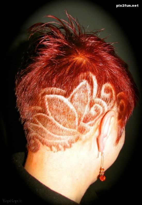 جالب ترین مدل های مو 